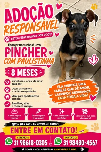 Doação