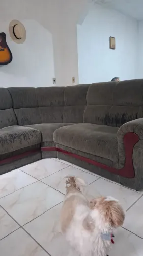Sofa usado