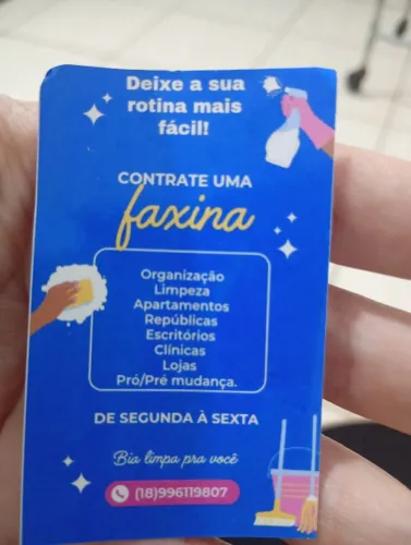 Faxina/Diarista/Passadeira/Organização ambiente