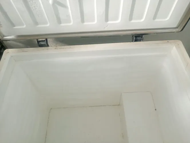 Freezer horizontal