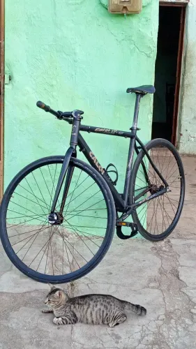 Bike Fixa (troco por MTB)