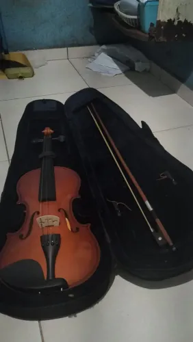 Violino