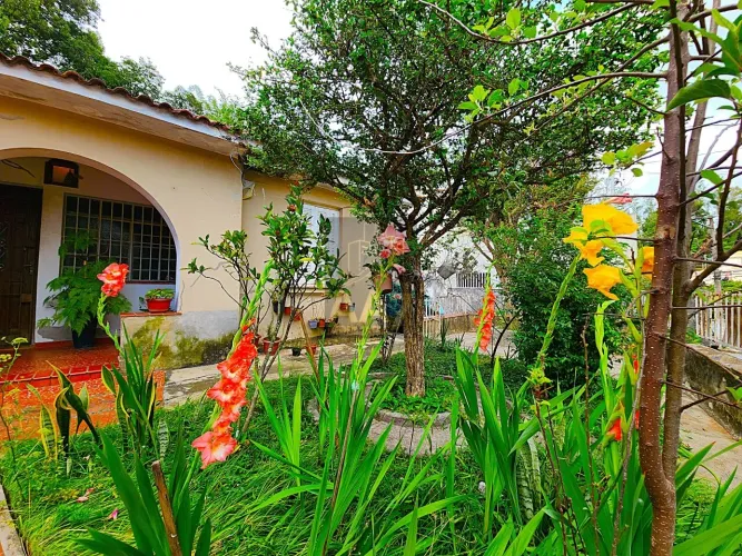 Casa térrea á venda Vila Indiana- Butantã - para morar ou investir-ao lado da USP