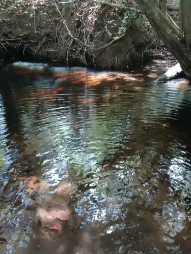 TERRENO EXCLUSIVO NA CHAPADA DOS VEADEIROS ALTO PARAÍSO DE GOIÁS
