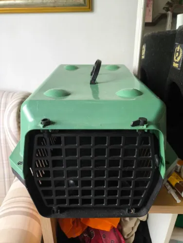 Caixa Transporte Cão 