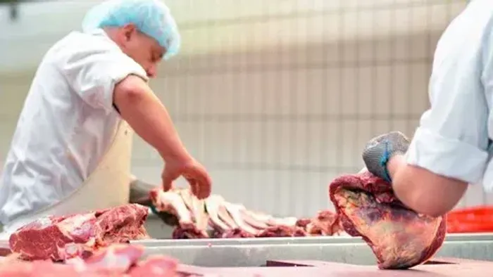 AUXILIAR DE AÇOUGUEIRO - Churrascaria - Pinheirinho