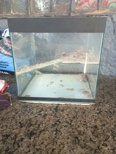 Vende se aquário é tartaruga serve para peixe ?