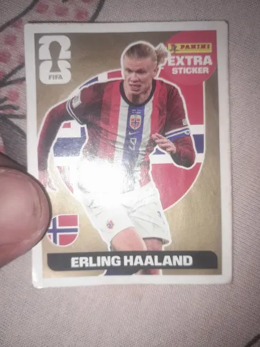 Figurinha do Erling haaland