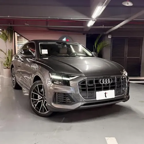 Audi Q8 Perform. 3.0 TFSI Coupe Quat. S-tron. 2019