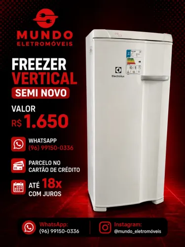 Freezer vertical