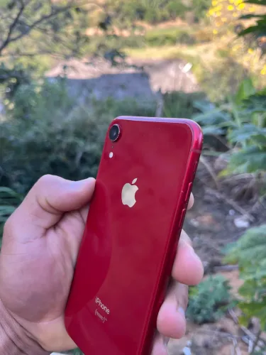 iPhone XR