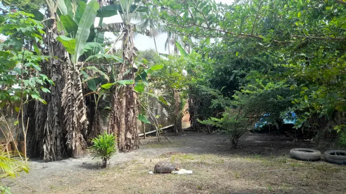 Terrenos no Maracajá/Mosqueiro a partir de 8mil