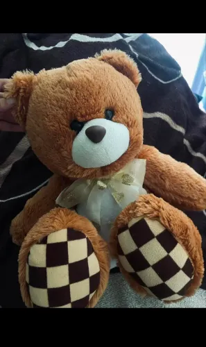 URSO NOVO