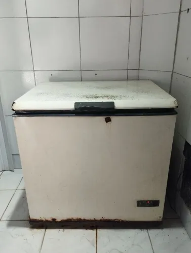 Freezer horizontal grande de 1 porta