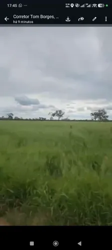 Fazenda 20 mil hec no Paraguai, em coruguatu pra