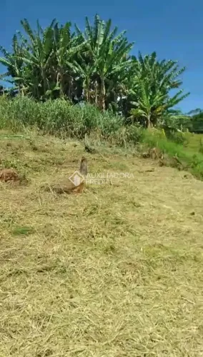 Terreno c/ 333m² à venda- Bela Vista, Vale Verde