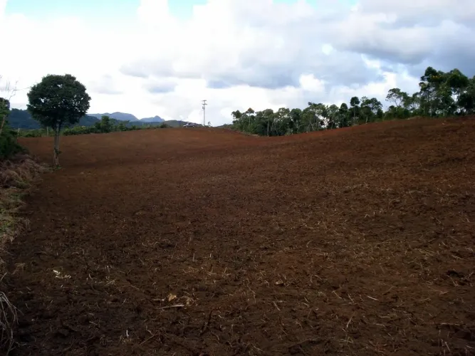 Terreno em Palmares - Paty do Alferes, RJ