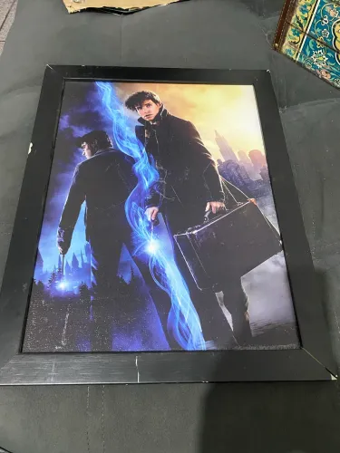 Quadro harry Potter e animais fantásticos