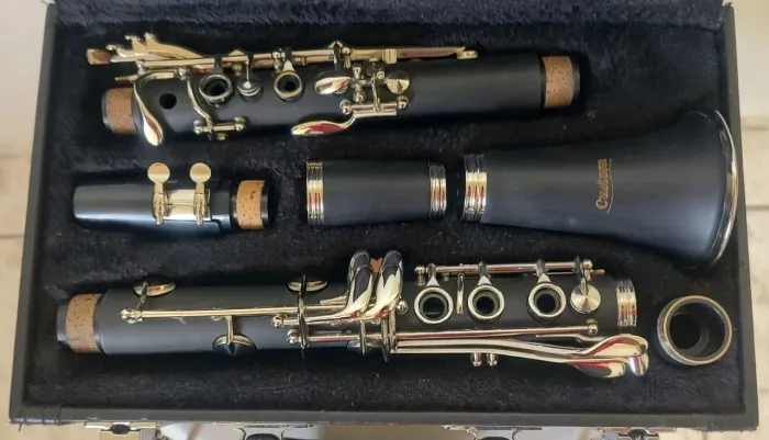 Clarinete Custom