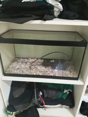 Aquário 20 litros completo