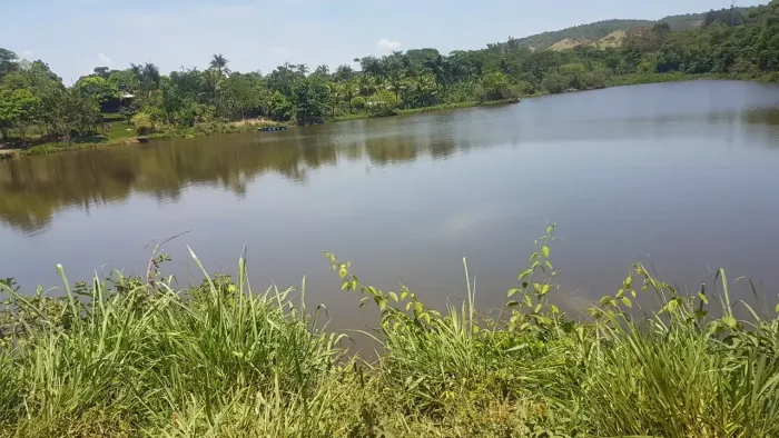 Chacara Luziânia - GO com 4 hectaresAceito imóvel no DF como parte do pagamento