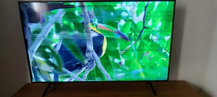 Televisão 55 polegadas