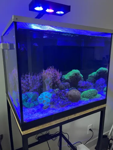 Aquário cubo 100L