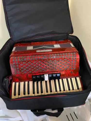 Acordeon/Sanfona Michael 80 baixos