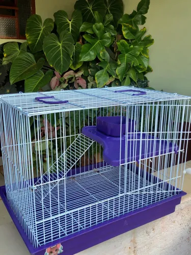 Kit 2 Gaiolas para Roedores (Rato Twister / Hamster) - Excelente Estado!