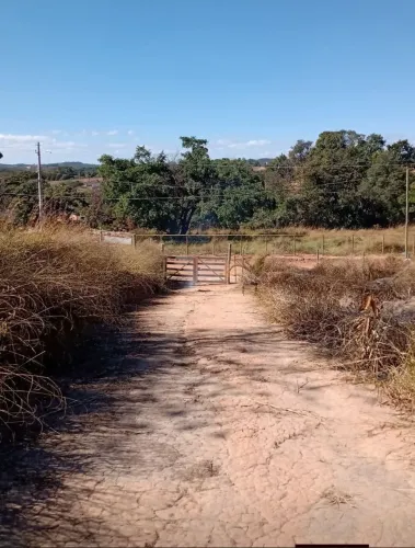Terreno