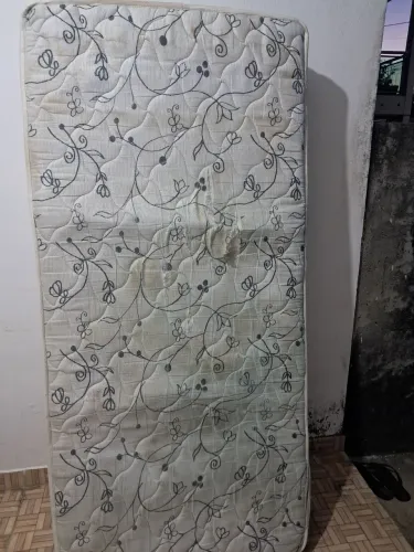 Conchão ortobom Solteirão D 33