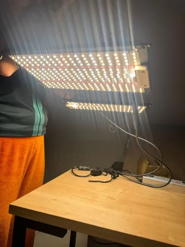 LED Quantum Board 240W Samsung LM301B - Cultlight (4 a 8 plantas)