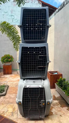 Caixa de transporte de cães