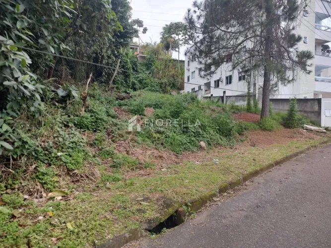Terreno à venda com 541 m² no Bairro Forquilhinhas/São José