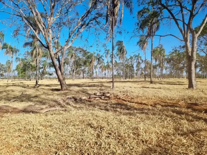 Fazenda a venda  - Inhumas - GO