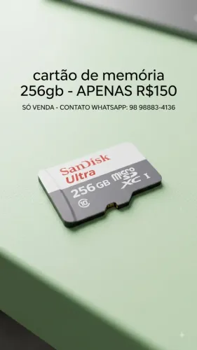 cartao de memoria 256gb scandisk