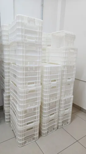 50 Caixas Agrícolas PEAD Virgem para Hortifrúti e Congelados de 49 L