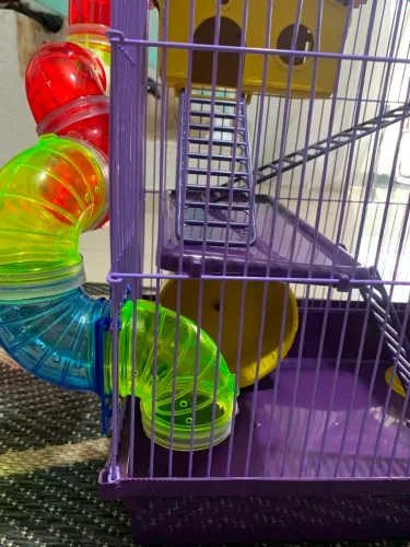 Gaiola para Hamster Nova Completa com Tubos