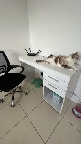 Escrivaninha e cadeira 
