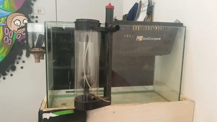 Aquário 