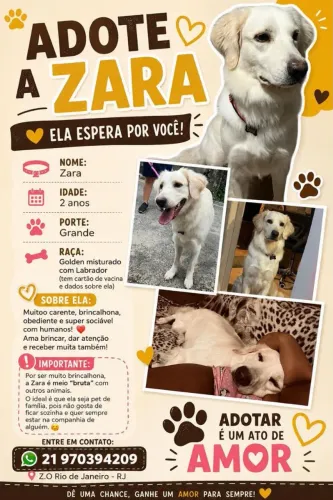 Doando essa cachorrinha