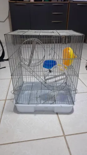GAIOLA PARA HAMSTER 2 ANDARES