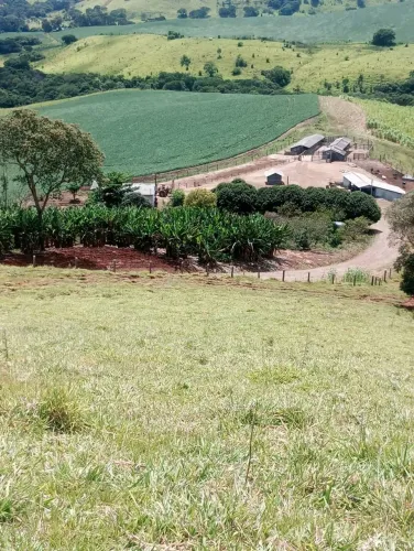 FAZENDA À VENDA Palmital