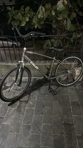 Caloi 700