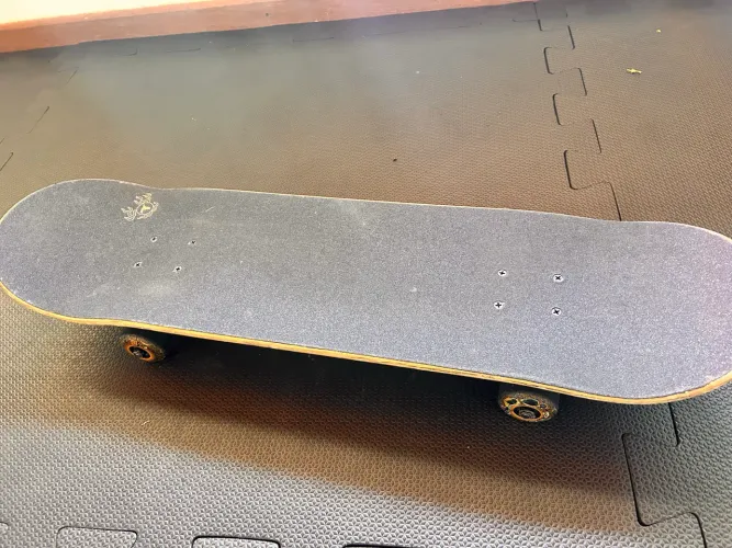 Skate traxart
