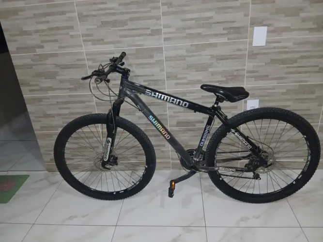 Bicicleta aro 29