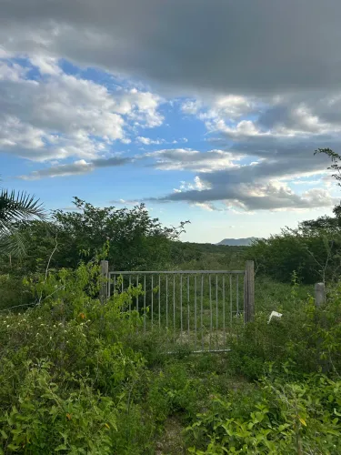 Vende-se 1 tarefa de terra no sítio bola