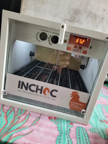 Chocadeira Automática 220V