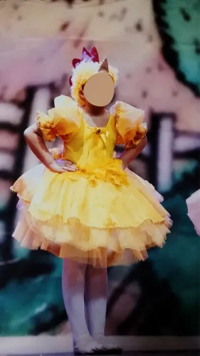 Vestido de Bailarina Infantil - Fantasia de Pintin