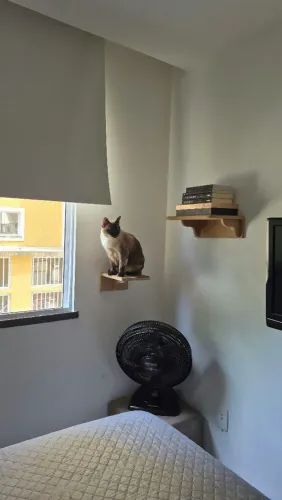 Prateleiras pra gatos ou objetos